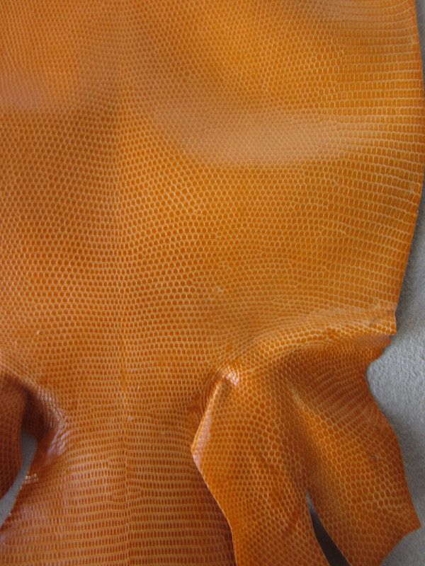 Peau de cuir de lézards orange